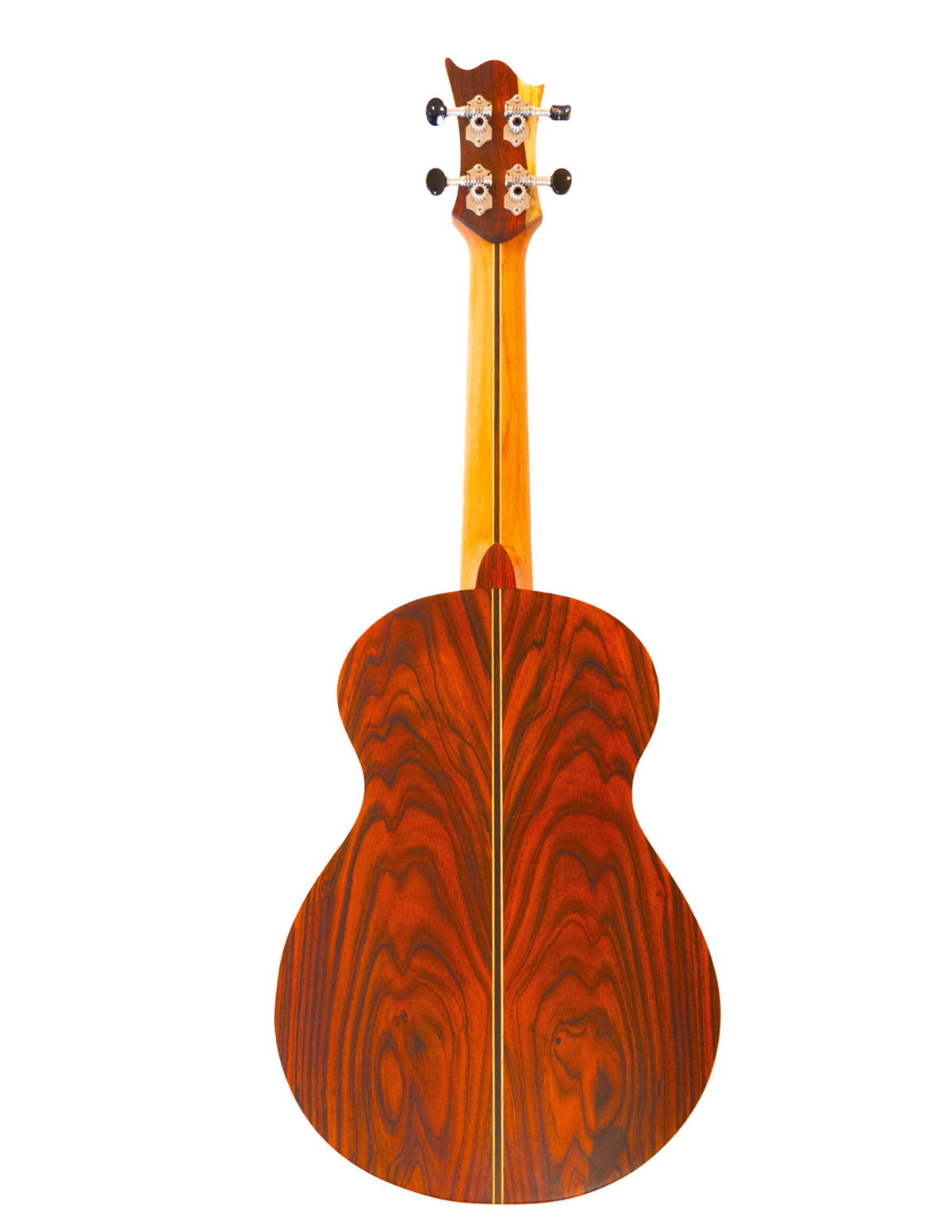 Squiggly concert